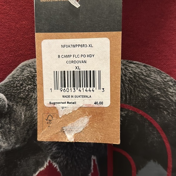 The North Face Kids Camp Fleece Pullover Hoodie - Picture 8 of 13